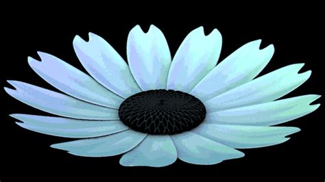 3d Flower  By Badbenjamin Find And Share On Giphy