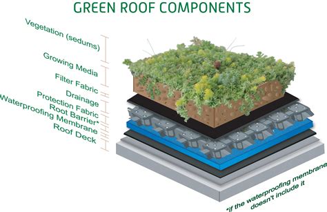 Green Sedum Roof Layering Components