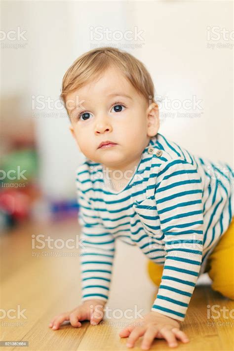 Portrait Of Cute Baby Boy Crawling Stock Photo Download Image Now