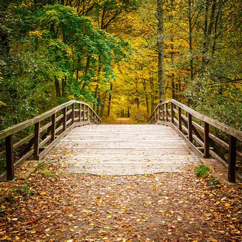 Bridge In Autumn Forest Stock Image Image Of Fall Path 32916519