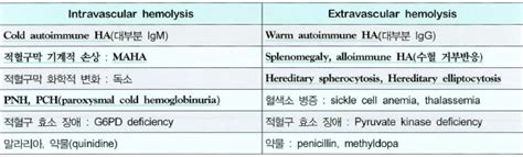 Also will my organs be ok with low. 용혈성 빈혈(Hemolytic anemia) : 네이버 블로그