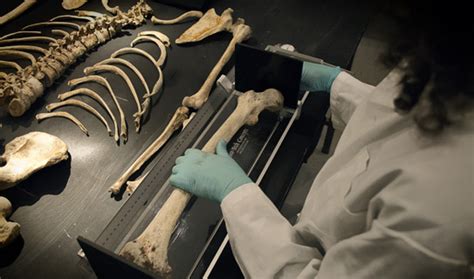Forensic Anthropologist To Examine Red House Bones In The Loop