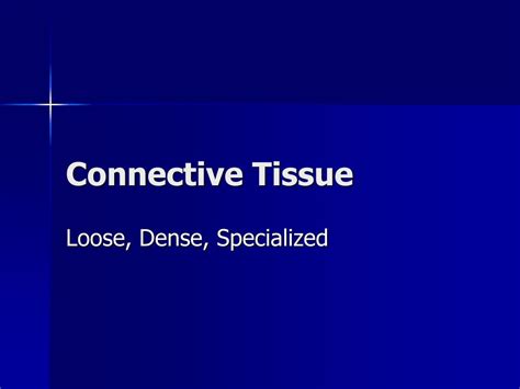 Ppt Connective Tissue Powerpoint Presentation Free Download Id4577331