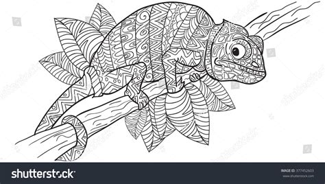 Hand Drawn Coloring Pages Chameleon Zentangle Image Vectorielle