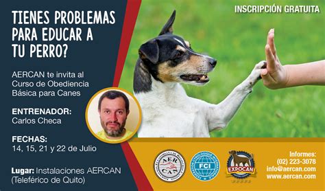 Curso De Adiestramiento Canino Aercan Ecuador