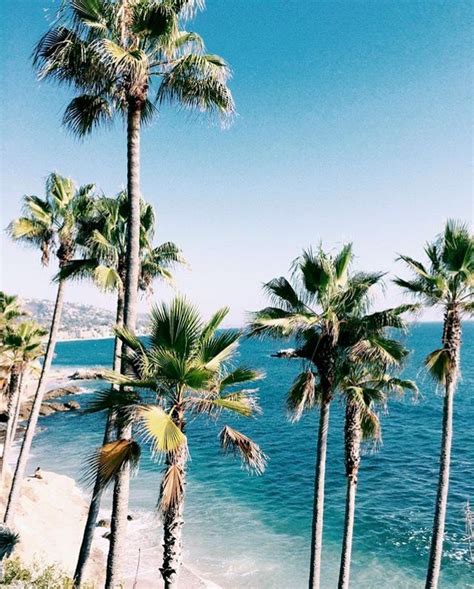 Palm Trees In 2019 Summer Photography Beach Aesthetic Palm Trees