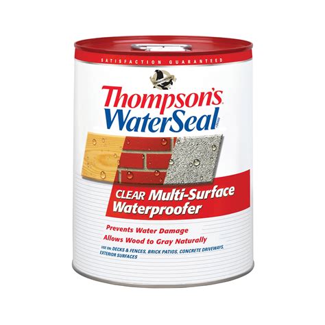 Thompsons Waterseal Multi Surface Waterproofer Wood Finish Clear 5