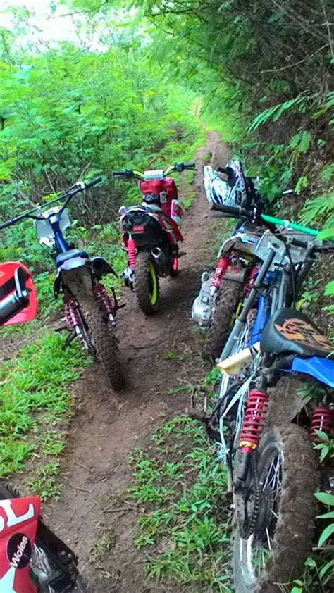 GaLery foto : Modifikasi motor Matic Trail – viwimoto.com