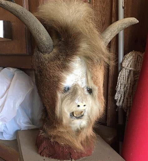 did you know that taxidermists are seriously turning deer butts into assquatches