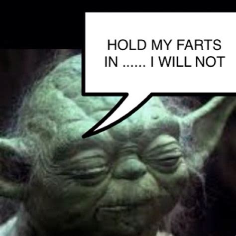 30 Best Images About Funny Yoda On Pinterest