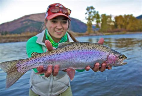 Rainbow Trout Western Montana Fish Species The Missoulian Angler Fly Shop