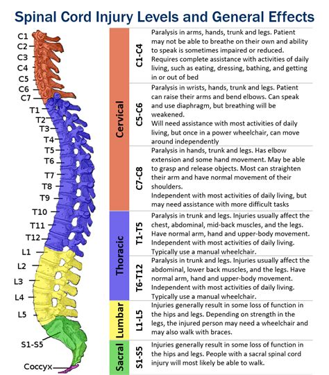 What Is A Cervical Spinal Cord Injury Hamilton Personal Injury Lawyers