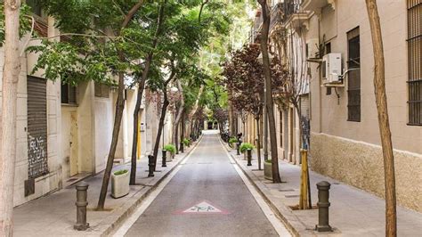 Vius En Un Barri Amb Arbres Aix Pot Influir En La Teva Esperan A De Vida