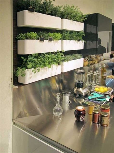 21 Stunning Indoor Wall Herb Garden Ideas Herb Garden Wall Herbs