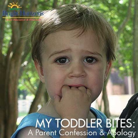 My Toddler Bites Parent Confession And Apology Bright Horizons Blog