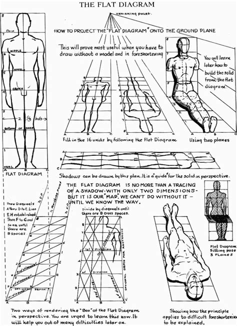 See more ideas about body anatomy, human anatomy, anatomy reference. Proportions of the Human Figure : How to Draw the Human Figure in the Correct Proportions - How ...