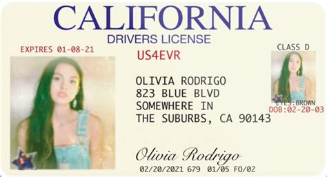 The Truth Behind Drivers License The Prowler