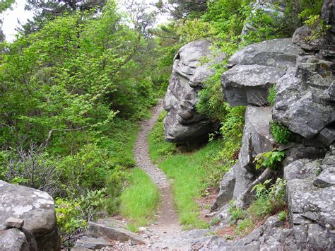 23 Best Hiking Trails Near Me With Waterfalls