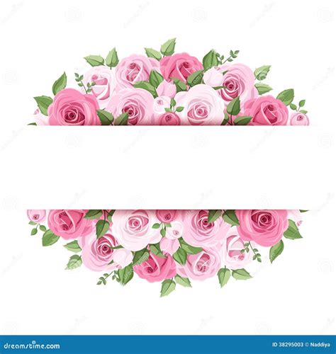 Pink Roses Border Frame Pink Flowers Banner In Pink Background Stock
