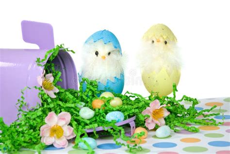 Cute Easter Chicks Stock Image Image Of Purple Poultry 24096185