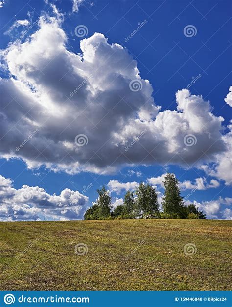 Blue Sky And Cloud With Trees Plain Landscape Background For Summer