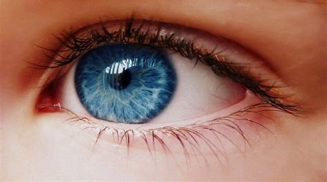 Filosofia Imortal Procedimento A Laser Pode Mudar Olhos Castanhos Para