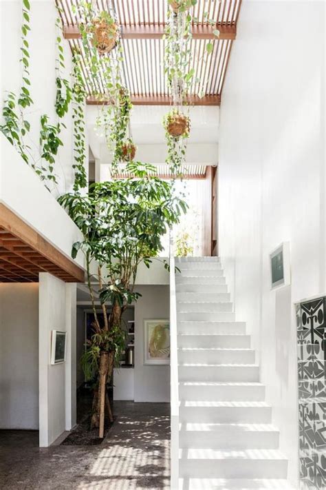 Inspirasi Desain Rumah Tropis Modern Minimalis Kelebihan Tips
