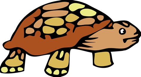 Cartoon Tortoise Clipart Free Stock Photo Public Domain Pictures