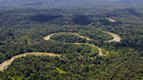 Ecuador Alberga 125 Millones De Hectáreas De Bosques Ecuador Noti