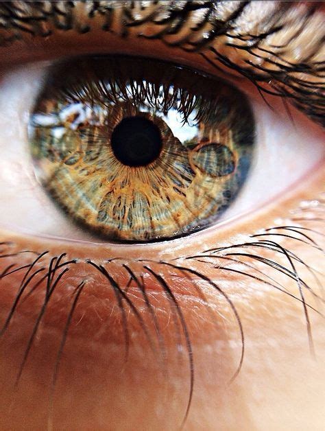 eye iris pupil 目 œil глаз occhio ojo color texture pattern macro eye