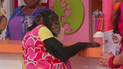 Watch The Fresh Beat Band Season 3 Episode 6 Chimps In Charge Full