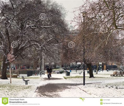 Winter Park Scene After A Snowfall In London Stock Image