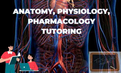 Do Anatomy Physiology And Pharmacology Tutoring By Profmurray Fiverr