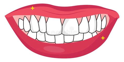 White Teeth Illustration Vector Stock Vector Illustration Of