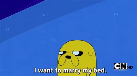 Jake is a main character on the cartoon network series adventure time. Funniest Jake The Dog Quotes. QuotesGram