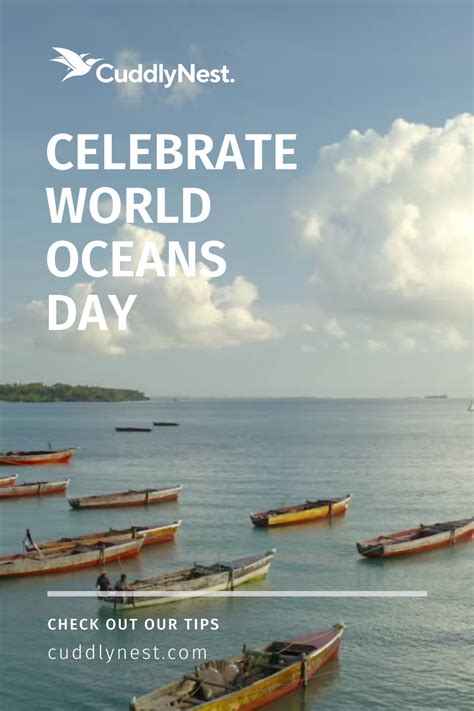 Ways To Celebrate World Oceans Day In 2021 Cuddlynest Travel Blog