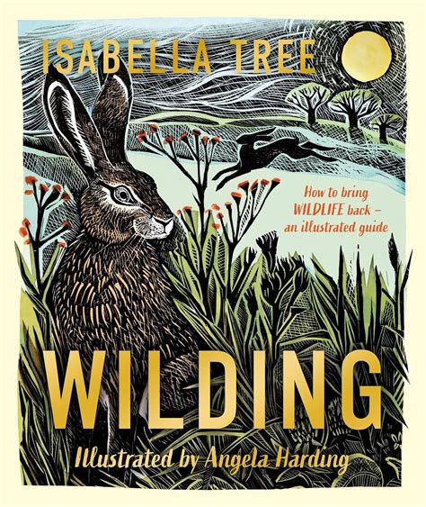 Wilding How To Bring Wildlife Back An Illustrated Guide Tree