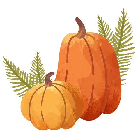 Premium Vector | Pumpkin Root Vegetable Rustic Autumn Fall Clipart