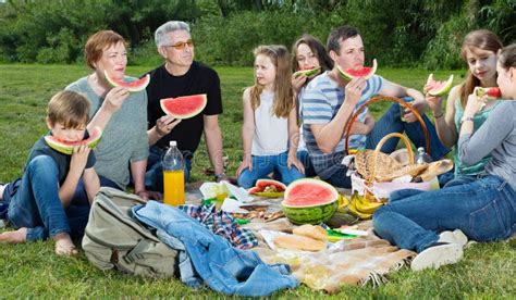 People Of Different Ages Sitting And Talking On Picnic Stock Photo