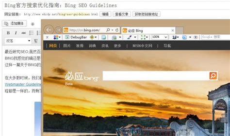 Bing官方搜索优化指南：bing Seo Guidelines Whidy Blog