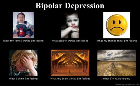 Lauren Eisel Bipolar Disorder Ap Psych 3b