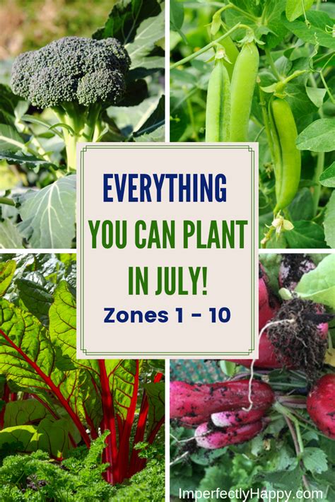 Vegans and vegetarians also have a higher risk of b12 deficiency, which may be linked to higher risk of stroke, she says. What to Plant in July in Your Vegetable Garden Now ...