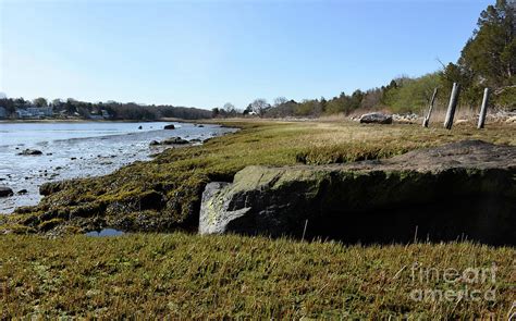 coastal beach with salt marsh and sea grass photograph by dejavu designs fine art america