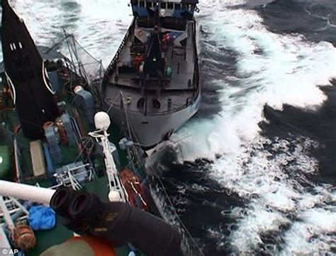 Video Of Japanese Whaling Ship Ramming Protestors Boat At South Pole