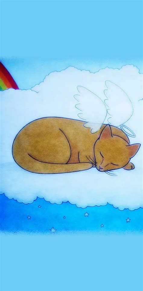Rainbow Bridge Kitty Wallpaper By 1artfulangel Download On Zedge 0fc2