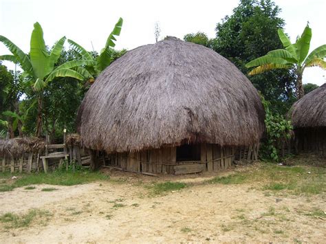 Rumah Adat Honai Asal Provinsi Keunikan Adat Honai Papua Aneka Suku Provinsi Ada Tradisional