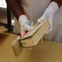 Ty jeremy jerome (born july 8, 1997) is an american professional basketball player for the oklahoma city thunder of the national basketball association (nba). IFLA -- IFLA's involvement in Haiti reconstruction efforts ...
