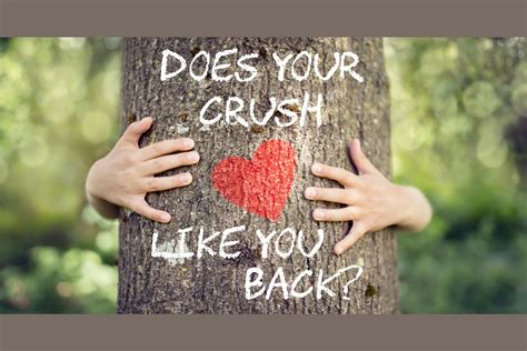 Does Your Crush Like You Back Take This Quiz And Find Out