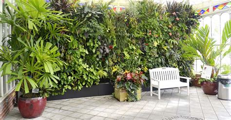 A Guide To Choosing Conservatory Plants Conservatory Craftsmen