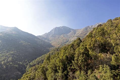 Mountain View Los Andes Y Vegetaci N Del Aconcagua En D A Claro En El